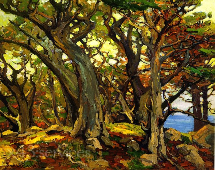 Franz Bischoff - Monterey Zypresse - Monterey Cypress